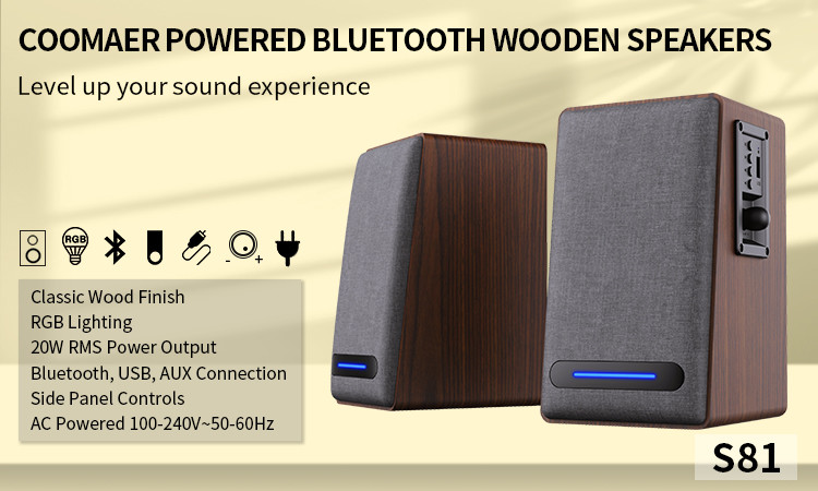 High Sensitivity Mini Bookshelf Speakers With Good Bass AC 220V