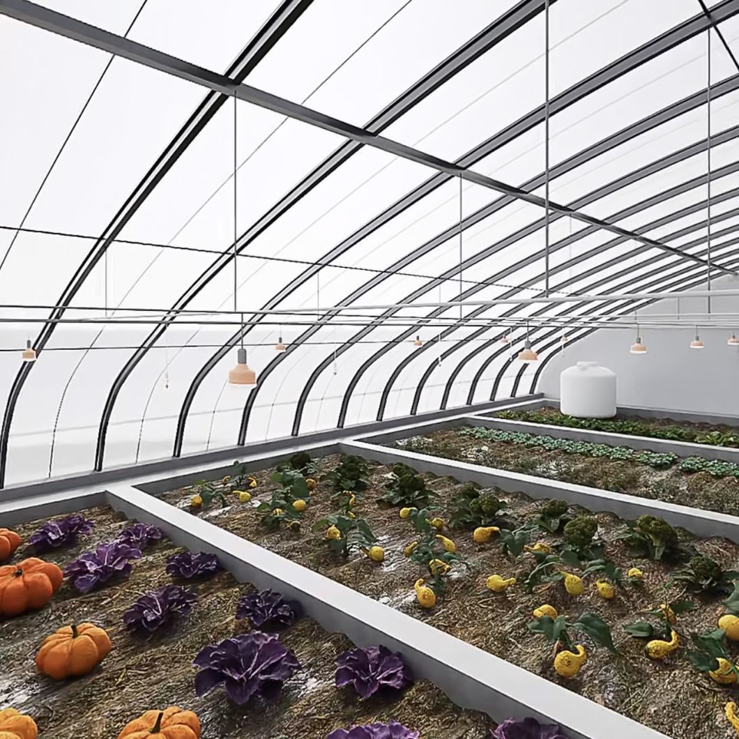 Hydroponics Flower Sunlight Greenhouse