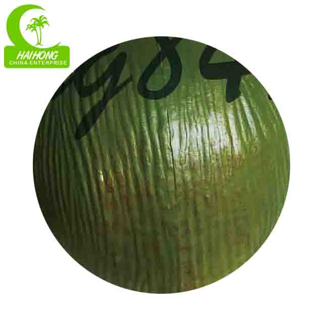 artificial coco tree fruit