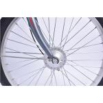 Vintage Steel Frame Electric Bike , 22in Lightweight Pedal Assist Bike
