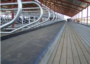 Quality Cattle Trucks Milking Machine Spares Rubber Mat for Cows Laying Space wholesale