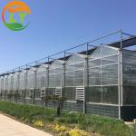 LITAI Greenhouse end Hot-dip Galvanized Steel Planting Greenhouse with Glass