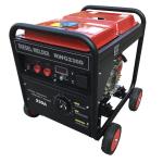 Direct Current 230A Arc Welding Generators 5.5 gal DIESEL Generator