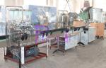 Linear Bottle Filling Machine Drinking Water Washing , Filling , Capping Machine