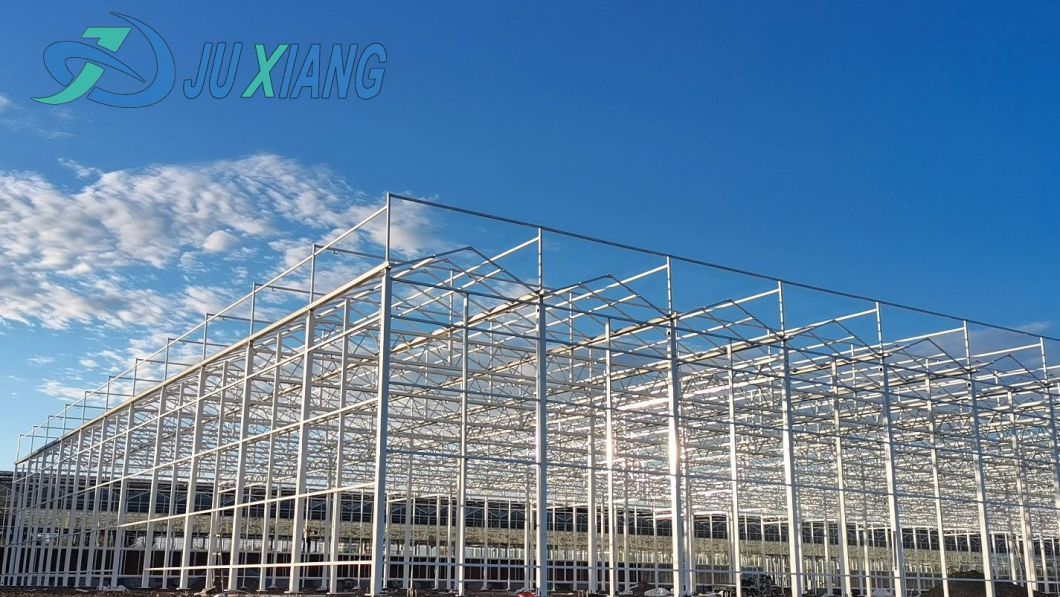 Economical Po/PE Film Greenhouse with Hydroponics