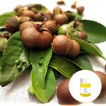Health Care Original Edible Organic Camellia Seed Oil Refined Pressing