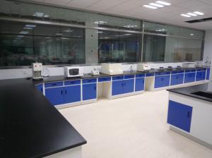 Quality Anti Corrosion Adjustable Height Lab Table All Cold Rolled Steel Material wholesale