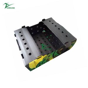 Quality Black Corriflute Fruit Corrugated Boxes Corrugated Plastic Storage Containers wholesale
