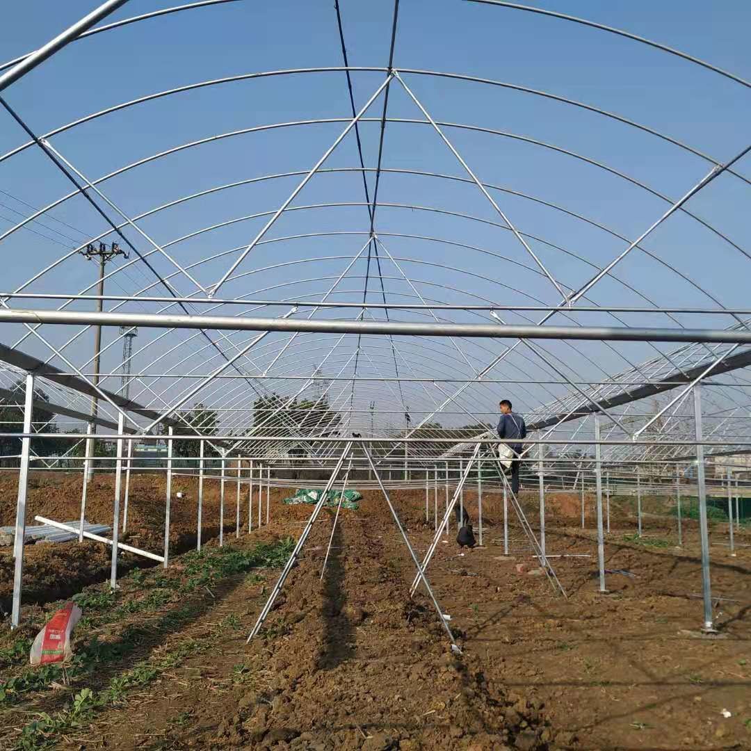 Baolida Multi Span Plastic Film Greenhouses With Hot Dipped Galvanized Frame