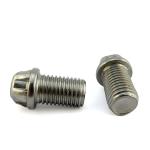 JIS Standard ZINC Finish CNC Turning Lathe Machining Stainless Steel Fasteners