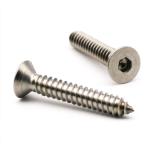 Torx Tamper Flat Head Self Tapping Screws Stainless Steel A2 304 SS Passivated