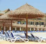 Customized Artificial Thatch Fireproof Plastic Roof for Fire-resistant Outdoor