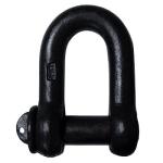 Customized Sized Acceptable Suspension Chains D Shackle Rigging