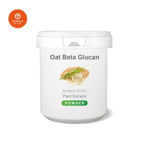 Quality Chinese Manufacturer Supply Food Ingredients Oat Beta Glucan 70% 80% Glucan Powder wholesale