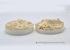 Quality Hamburgers Sandwich Organic HALAL Gluten Protein Powder wholesale