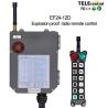 Buy cheap Telecontrol EF24-12D Industrial Wireless Remote Control Used For Hazardous Area from wholesalers