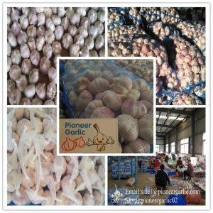 Quality 2018 new crop garlic on sale Fresh Garlics fresh white garlic/top quality wholesale