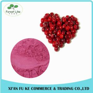 Quality 100% Natural Fruit Cranberry Juice Powder wholesale