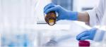 Disposable Nitrile Latex rubber gloves /nitrile disposable gloves disposable