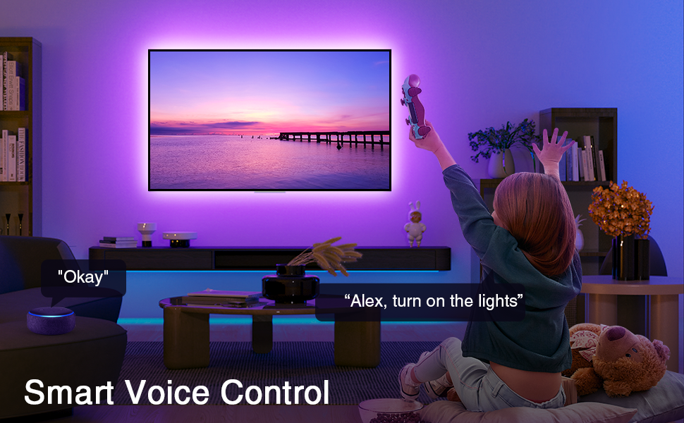 Welcome To Our 4K HDR Support HDMI Strip For 75-85 Inch TVs
