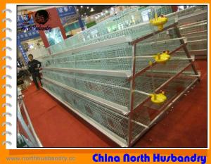Quality High quality poultry farm equipment for sale wholesale