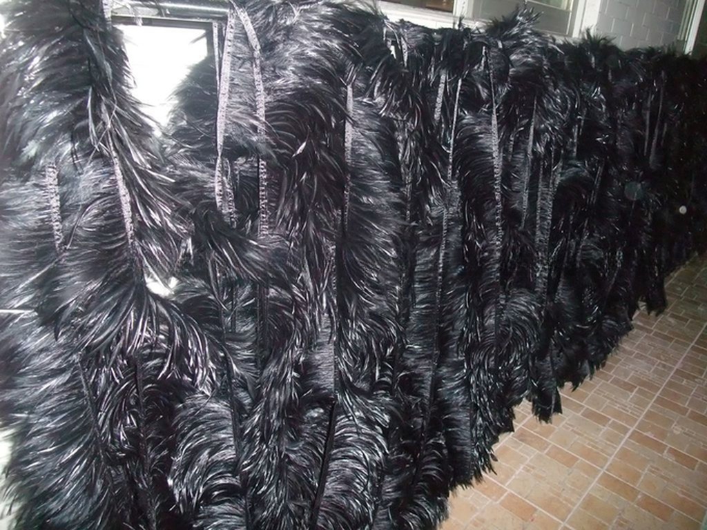4-6 Inch Party Decoration Saddle Hackle Feather Fringe Trimming with Satin Ribbon Tape