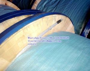Quality Guy Strand 1/2&quot;, EHS wholesale