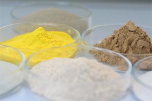 Quality industrial cellulase,Cellulase Hemicellulase Pulp And Paper Enzymes Powder / Liquid wholesale