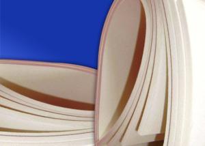 Quality Endless Polyester Needle Felt 50% Polyester And 50% Nomex Meta Aramid wholesale