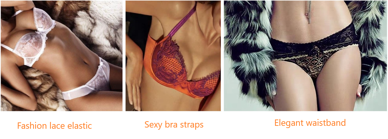 High Quality 19mm Bra Nylon Elastic Band Elastic Band Sexy Bra Straps Can Be Customized Shoes Webbing Garment Spandex / Nylon