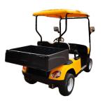 Custom Club EV Cargo Golf Truck Cart Utility Vehicle 20mph-40mph