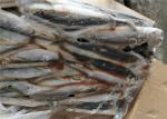 Decapterus Muroaji 76g 77g Round Scad Frozen Fishing Bait