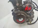 Steel Air Cooling CG200 DAYANG Motorcycle Tricycle Engine Assembly 198ml