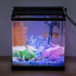 Saltwater 4 Litre Hygger Aquarium Fish Tank