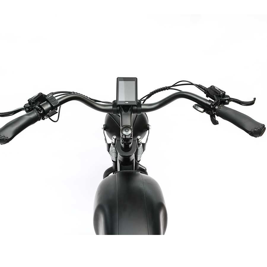 Long Range 48V 750W Rear Hub Motor Electric Motorbike with 48V 20Ah Lithium Battery