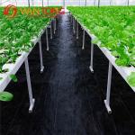 Polypropylene 90g Anti-Grass Agro Textile Weed Control Mat for Farming