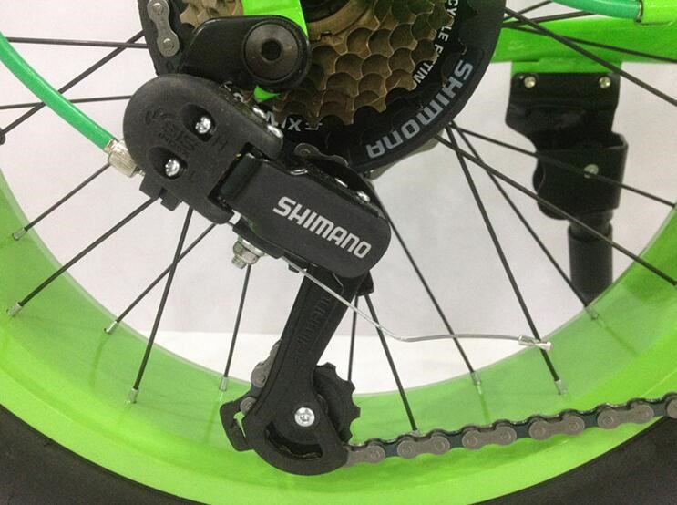 OEM 21 Speed 20 Inch Fat Tire Electric Bike