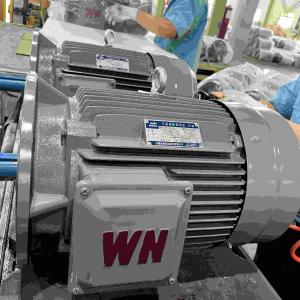 Quality IE5 Variable Speed Electric Motor wholesale