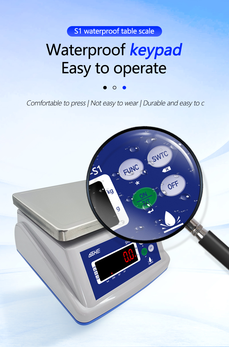 Double Layer Structure 30KG Waterproof Scale with Precision Sensor and LED Display