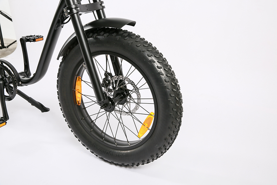 Rear Carrier Battery Position 48V 1000W Electric Bicycle for Fast Speed and Customized