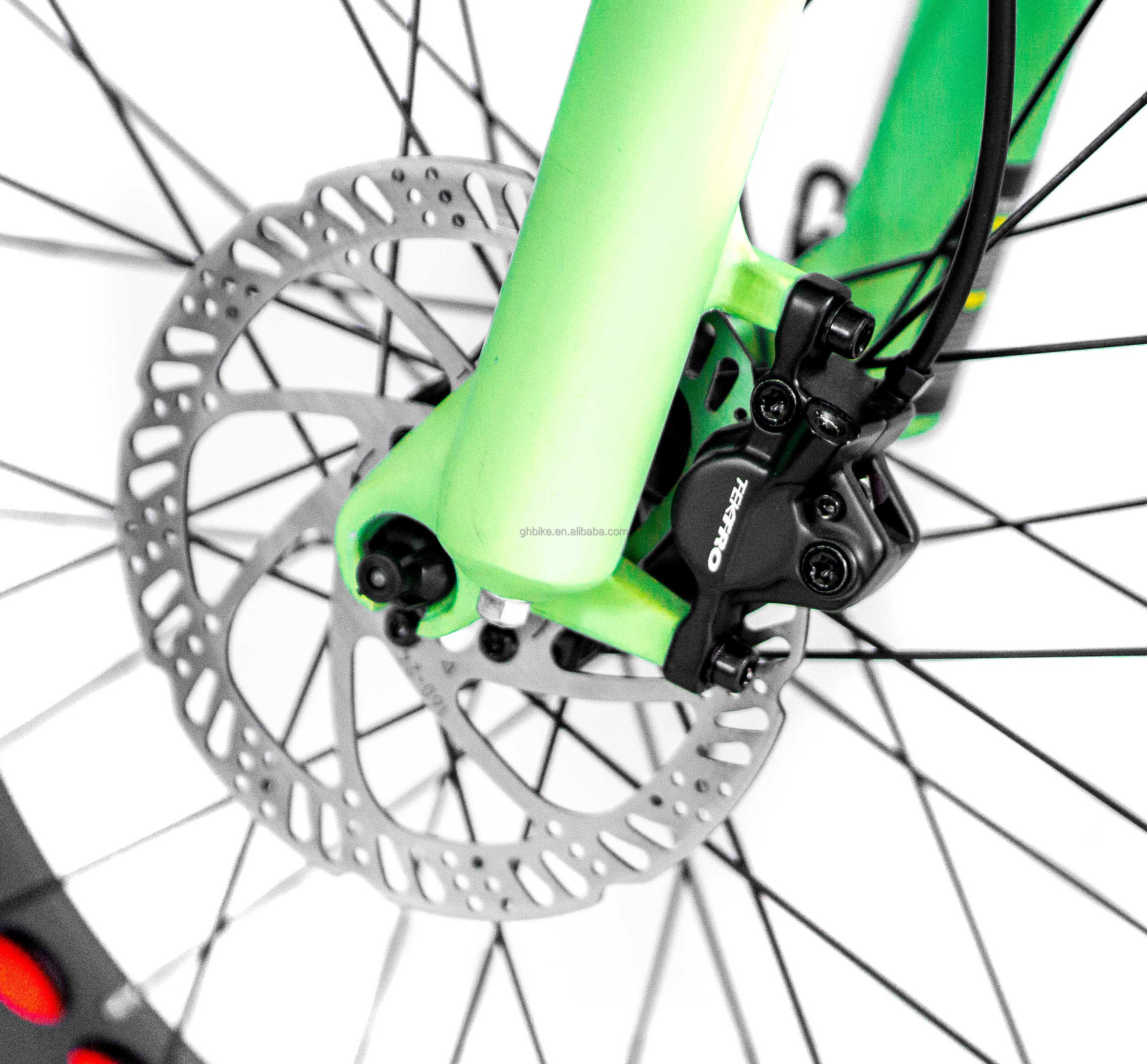 20inch Suspension CE OEM 48V 34AH 1000W 8FUN MOTOR CHINESE DUAL BATTERY ELECTRIC BIKE