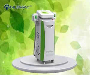 Quality hot sale 5 handles multifunctional cryolipolysis body slimming machine wholesale