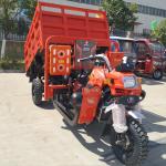 China 300cc BestSale HeavyLoadingDeliveryCargoPetrolTypeThreeWheelMotorbikeBenzi