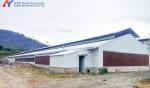 Fully Automatic Poultry Farm Equipment , Galvanized Poultry Farm Layer Cage