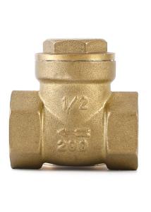 Quality Antirust Harmless Brass Swing Check Valve Moistureproof Non Return wholesale