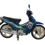 Tuvalu Hot Sale cheap motorcycle 110cc ZS engine cub bike 125cc LIFAN super cub