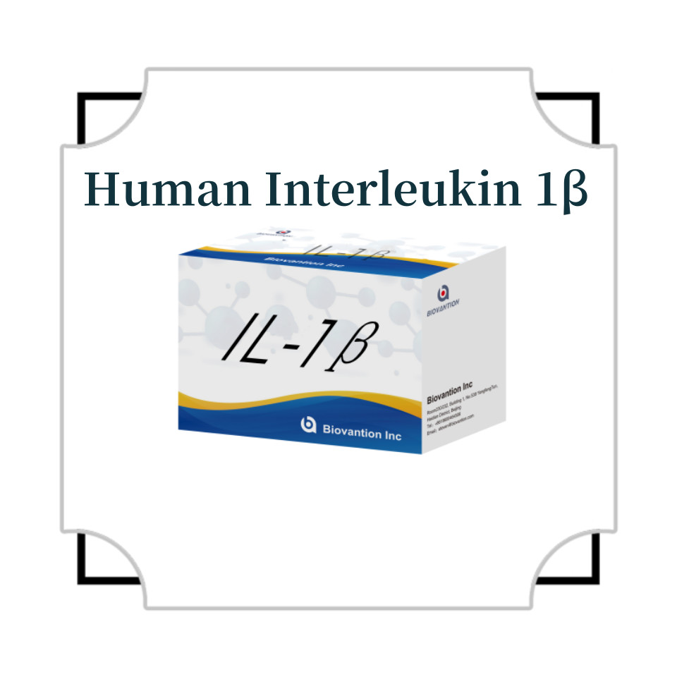 Human Elisa Human Interleukin 1β(IL-1β) For Research Use Only