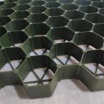 Black Green Plastic Paver Grid for Protecting Turf in Parking Lots and Driveways