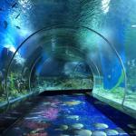 Transparent PMMA 8mm Perspex Clear Acrylic Sheets For Aquarium