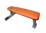 Bold Tube Gym Flat Weight Lifting Dumbbell Bench Equipment
